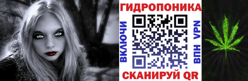 Где можно купить наркотики Дмитровск Cocaine  Конопля  KRAKEN ССЫЛКА  ГАШИШ  Мефедрон 
