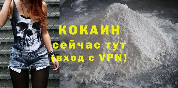 тгк Абаза