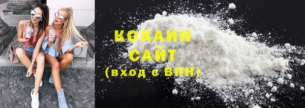 тгк Абаза