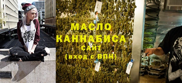 тгк Абаза